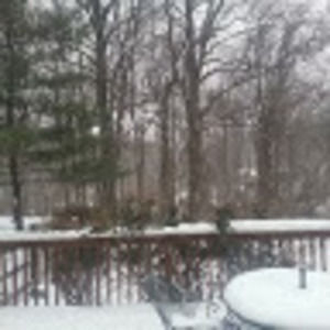 Meet your Posher, Robin